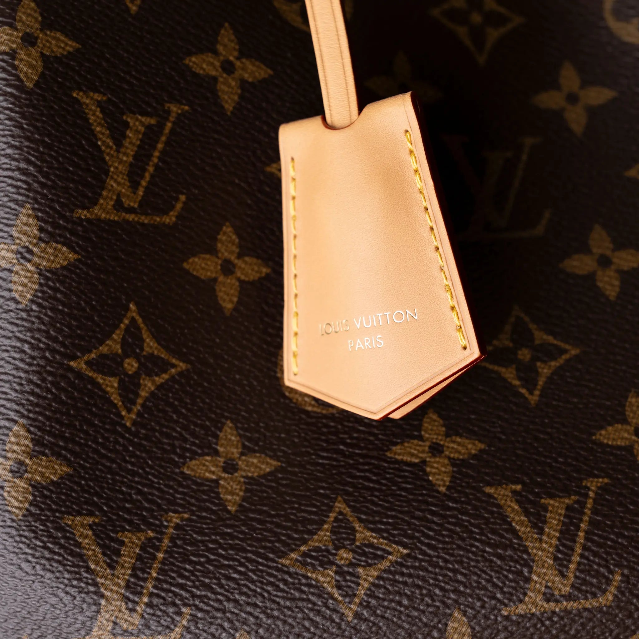 Louis Vuitton Monogram Speedy 30 Soft Celebration — Detail View
