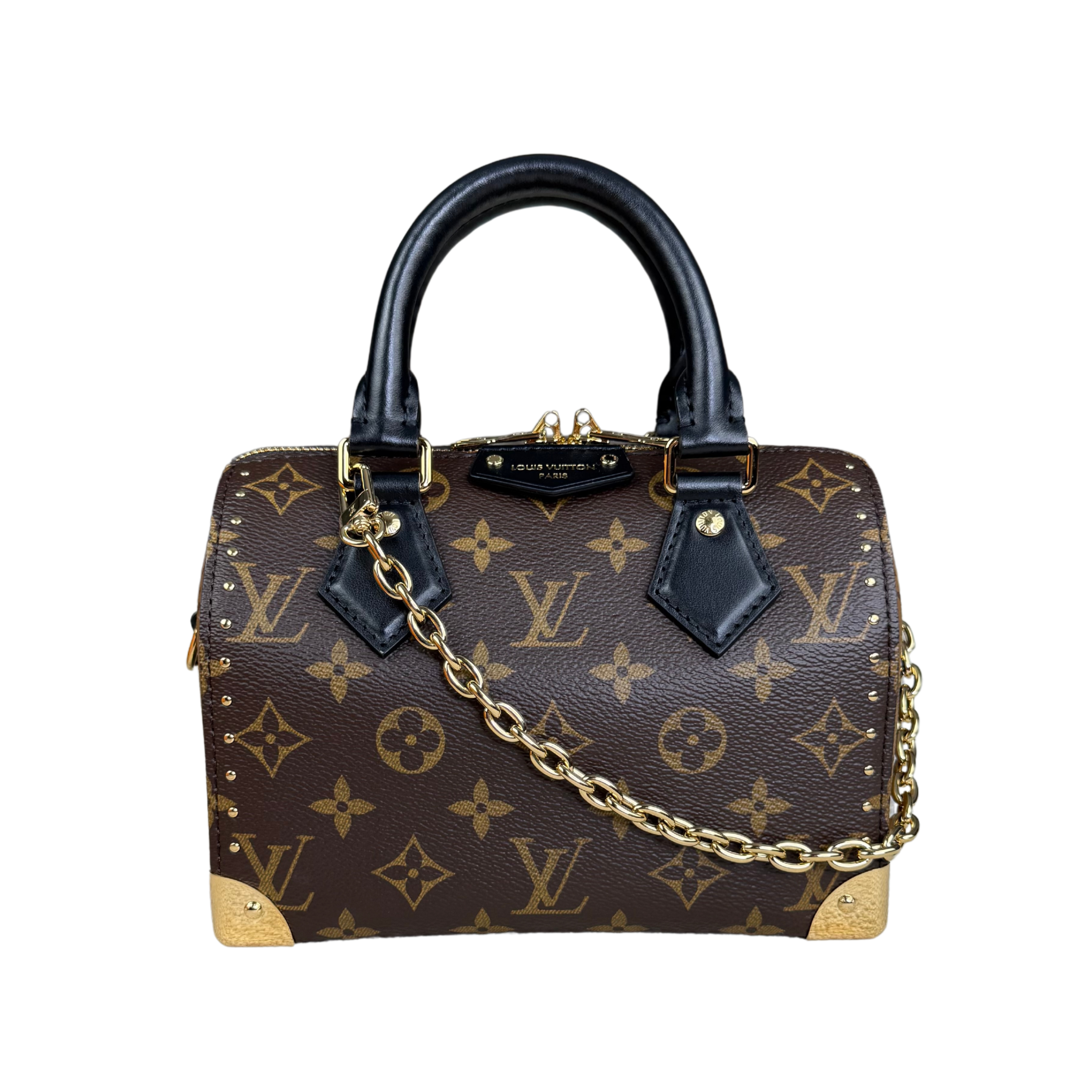 Louis Vuitton Speedy 20 Trunk