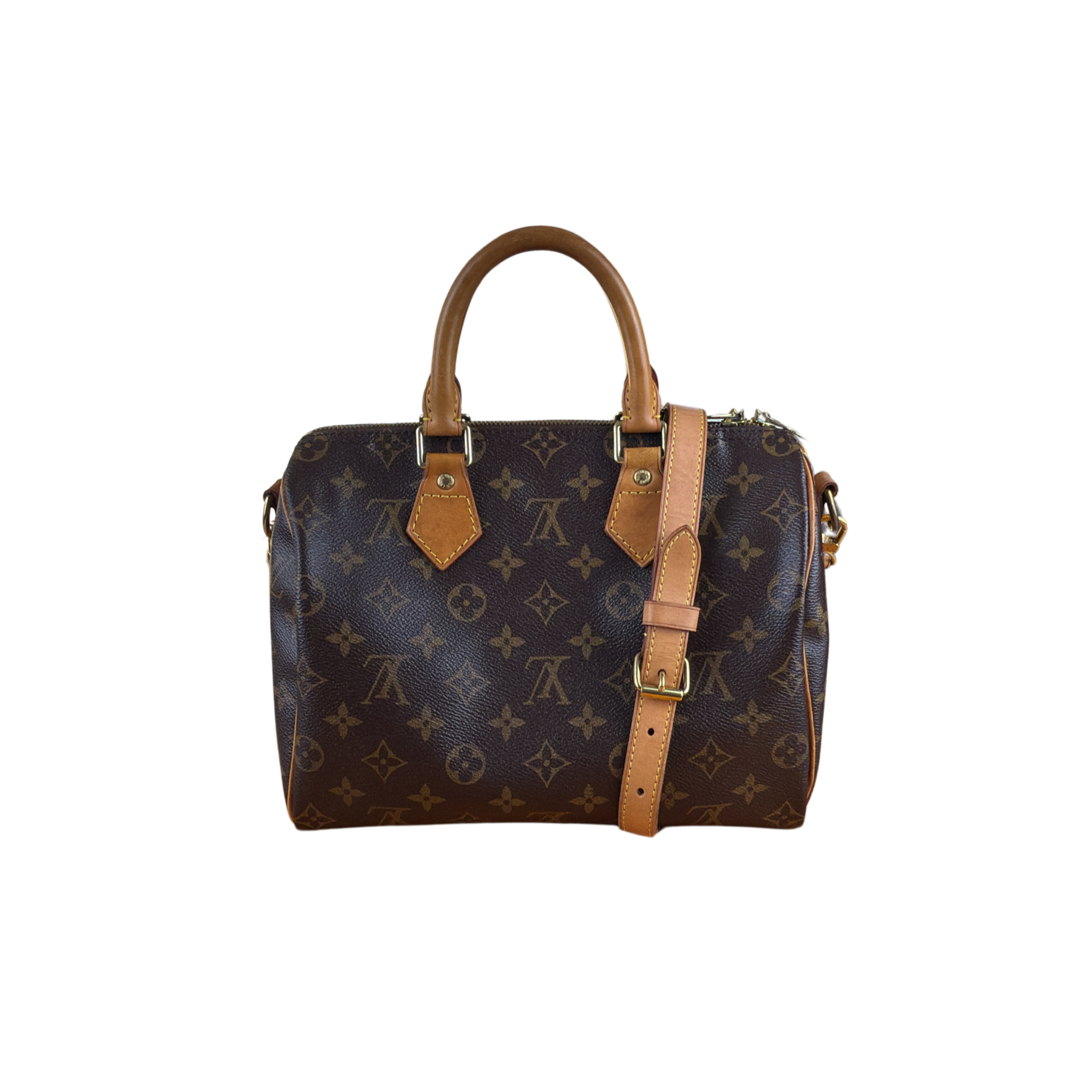 Louis Vuitton Speedy