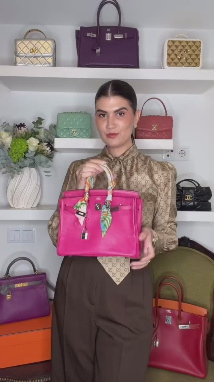 Hermès Birkin 25 Retourne Chèvre Mysore — Vídeo