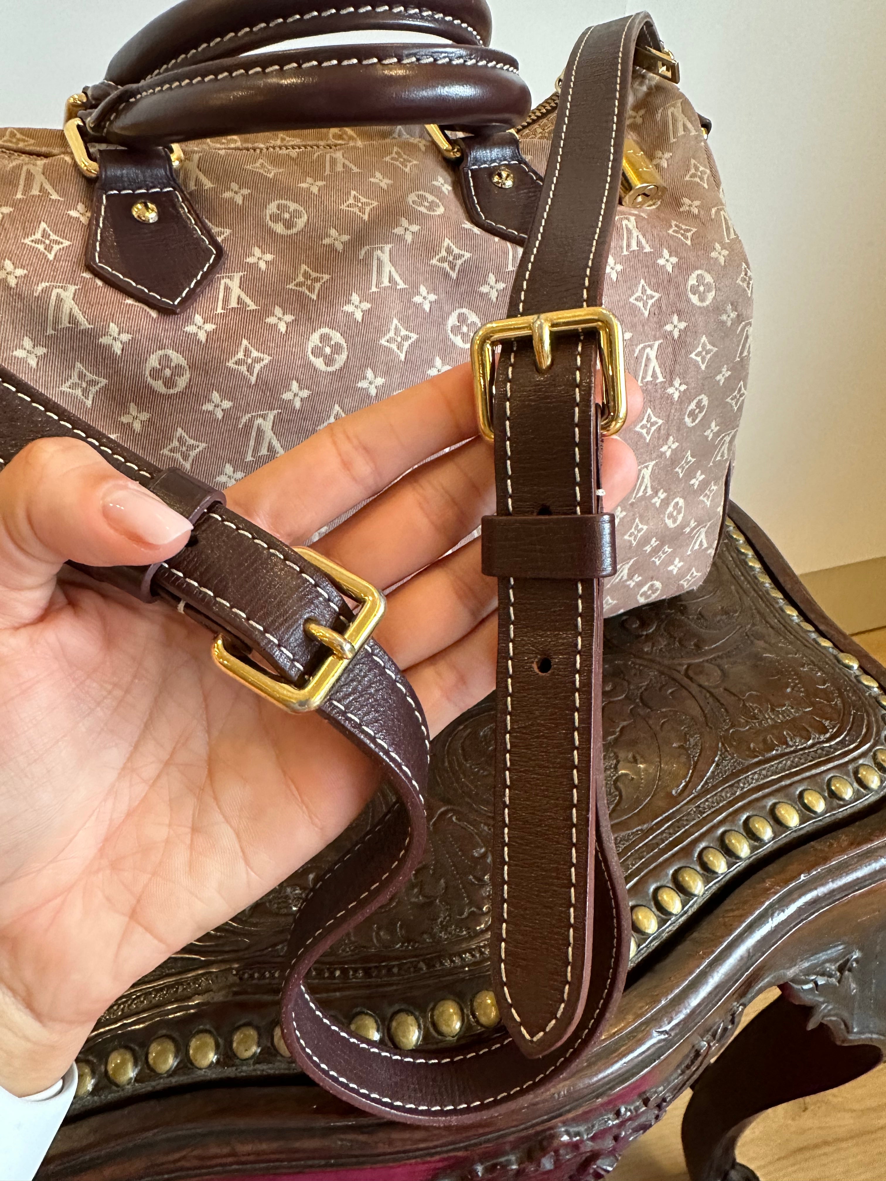 Louis Vuitton Speedy 30